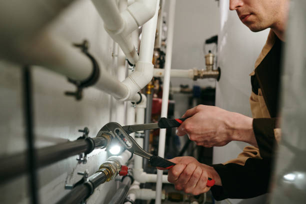 Best Local Plumber Services  in Downs, IL