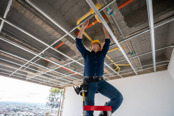 Best Affordable Plumbing Services  in Downs, IL