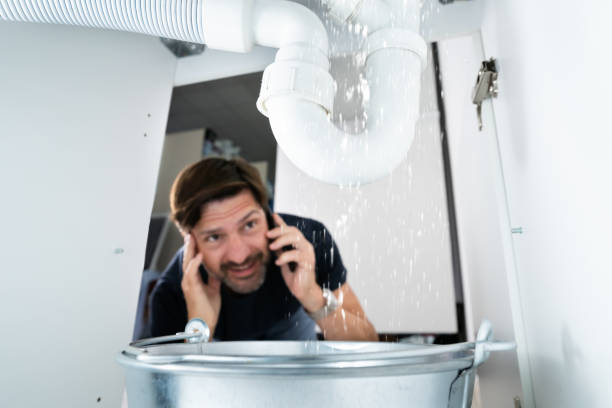 Best Drain Cleaning Services  in Downs, IL