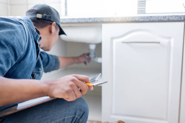 Best Plumbing Services Near Me  in Downs, IL