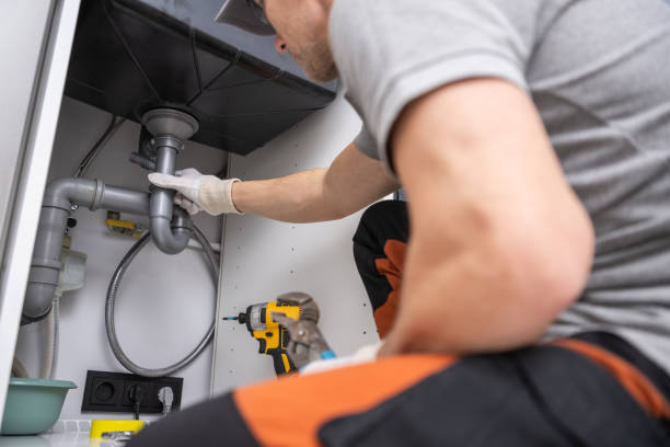 Best Local Plumber Services  in Downs, IL